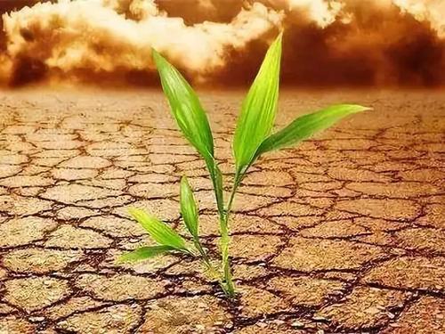 土壤肥料養分檢測儀 土壤肥料養分檢測儀