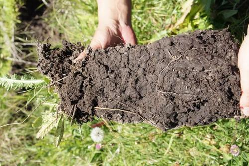 土壤養分分析儀