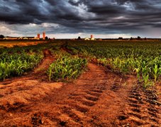 土壤養分分析儀對土壤有什么作用？
