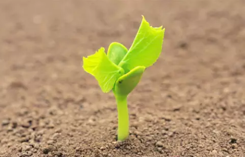 肥料養分檢測儀 肥料養分檢測儀